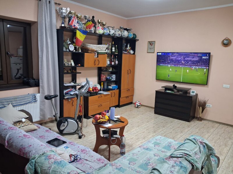 Nicolae Grigorescu , Voluntari, Ilfov