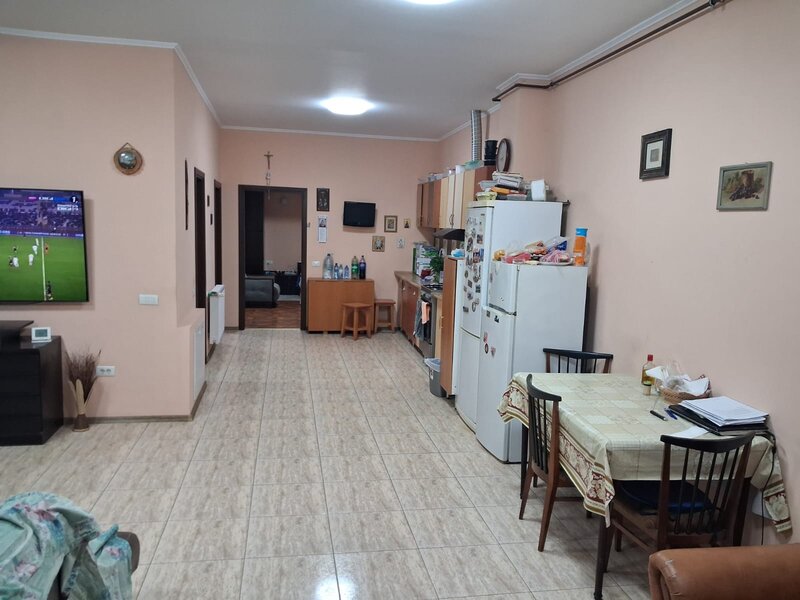 Nicolae Grigorescu , Voluntari, Ilfov