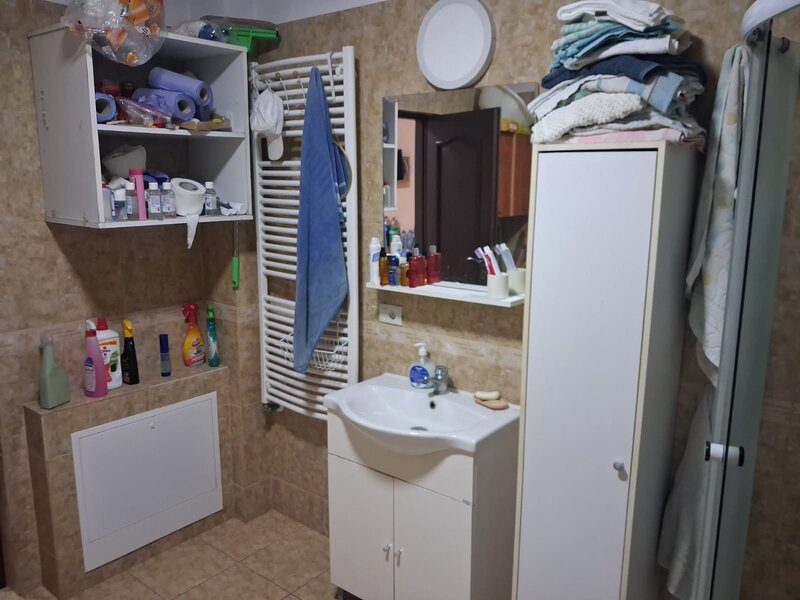 Nicolae Grigorescu , Voluntari, Ilfov