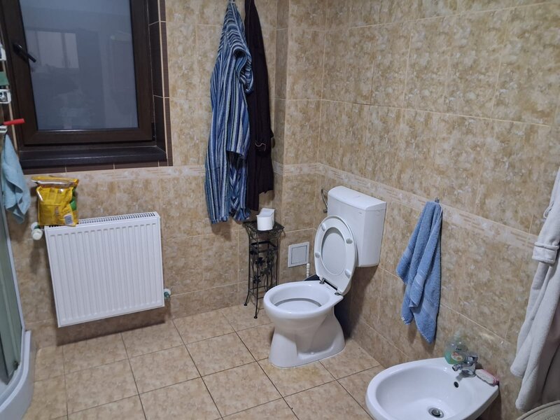 Nicolae Grigorescu , Voluntari, Ilfov